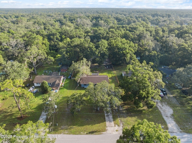33399 Ohio Ave, Dade City, FL 33523 - photo 36
