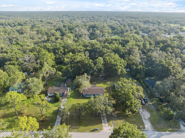 33399 Ohio Ave, Dade City, FL 33523 - photo 38