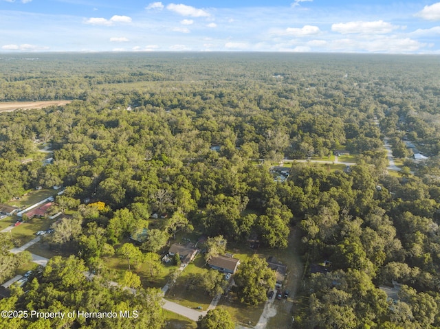 33399 Ohio Ave, Dade City, FL 33523 - photo 40