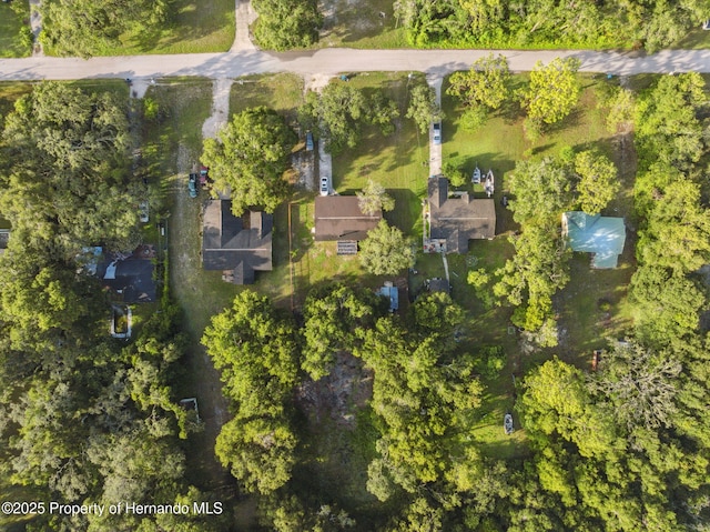 33399 Ohio Ave, Dade City, FL 33523 - photo 42