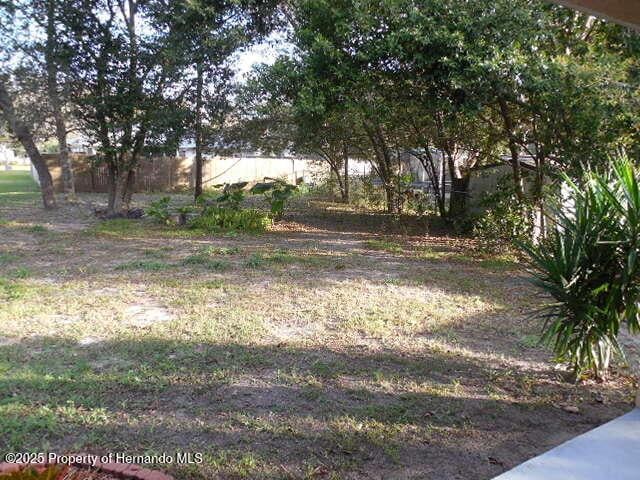 6485 Hillview Rd, Spring Hill, FL 34606 - view of yard
