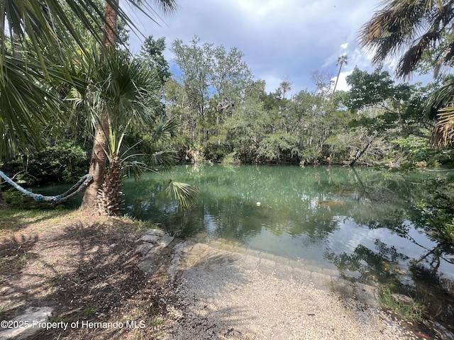 6241 Colony Cir, Weeki Wachee, FL 34607 - water view