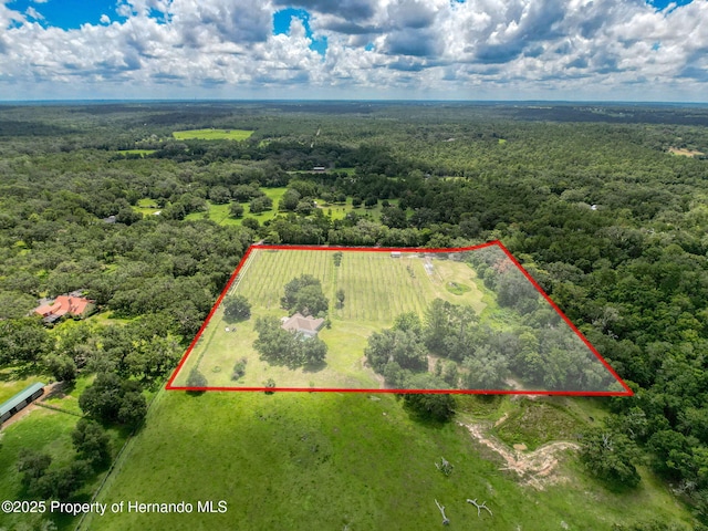 3011 Endsley Rd, Brooksville, FL 34604 - photo 46