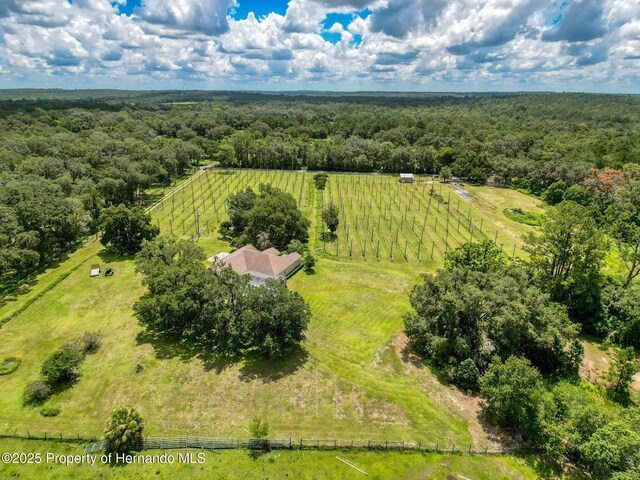 3011 Endsley Rd, Brooksville, FL 34604 - photo 47