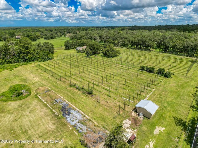 3011 Endsley Rd, Brooksville, FL 34604 - photo 48