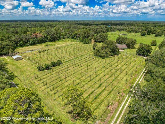 3011 Endsley Rd, Brooksville, FL 34604 - photo 49