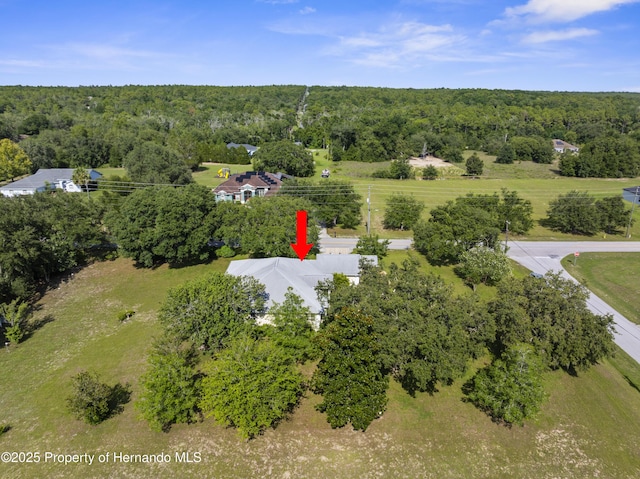 2910 N Annapolis Ave, Hernando, FL 34442