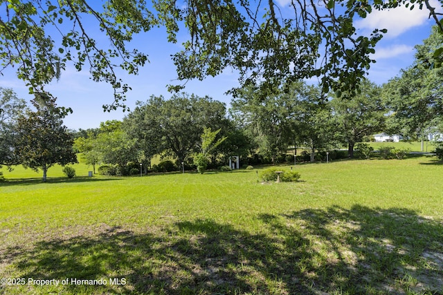 2910 N Annapolis Ave, Hernando, FL 34442
