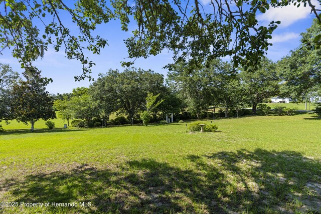 2910 N Annapolis Ave, Hernando, FL 34442 - photo 38