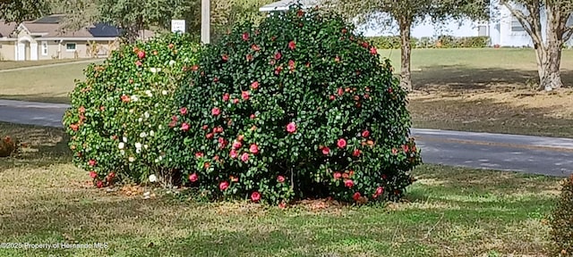 2910 N Annapolis Ave, Hernando, FL 34442