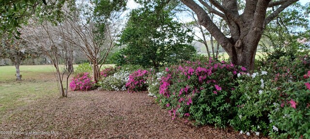 2910 N Annapolis Ave, Hernando, FL 34442
