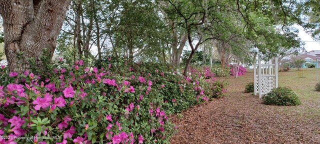 2910 N Annapolis Ave, Hernando, FL 34442