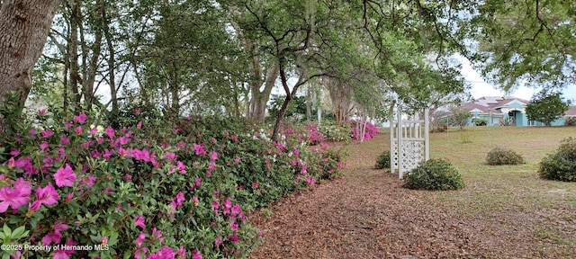 2910 N Annapolis Ave, Hernando, FL 34442