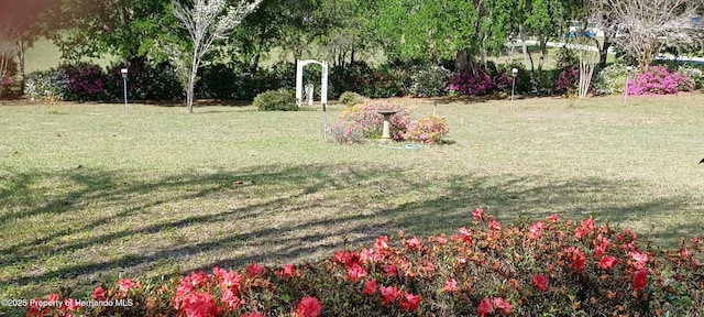 2910 N Annapolis Ave, Hernando, FL 34442