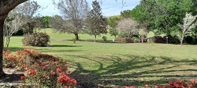 2910 N Annapolis Ave, Hernando, FL 34442