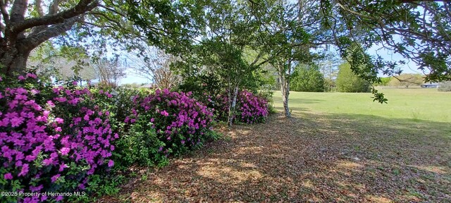 2910 N Annapolis Ave, Hernando, FL 34442