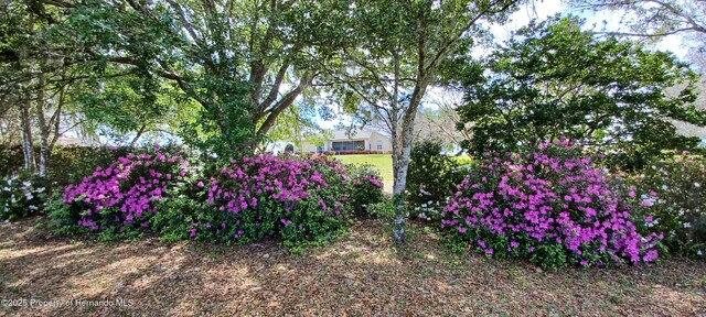 2910 N Annapolis Ave, Hernando, FL 34442
