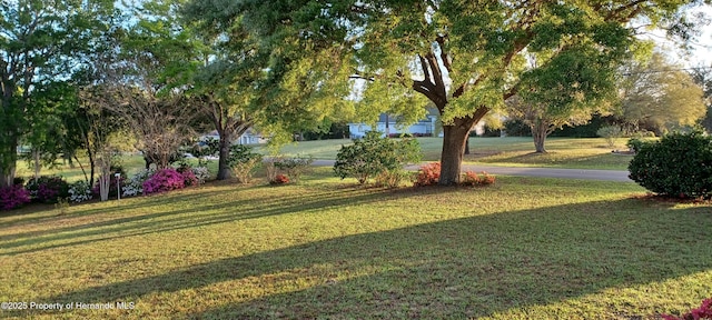 2910 N Annapolis Ave, Hernando, FL 34442