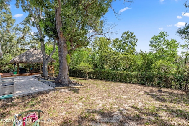 2295 Rio Cir, Spring Hill, FL 34608 - view of yard with a gazebo and a patio