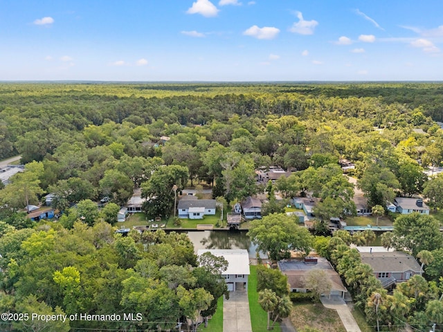 8158 River Point Dr, Weeki Wachee, FL 34607 - photo 40