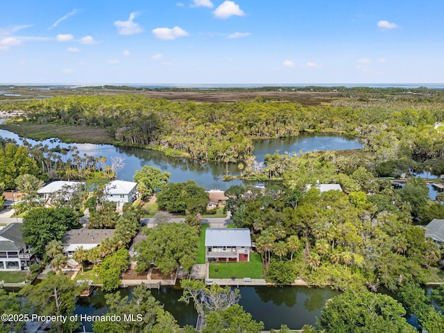 8158 River Point Dr, Weeki Wachee, FL 34607 - photo 41