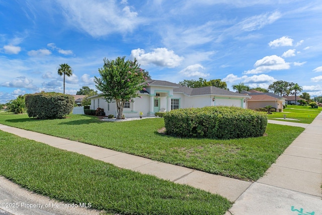 10335 Locker Dr, Spring Hill, FL 34608 - photo 4