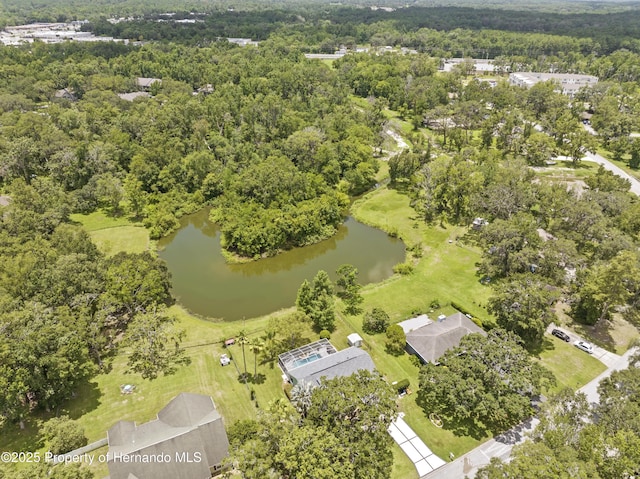 1271 Candellight Blvd, Brooksville, FL 34601 - photo 60