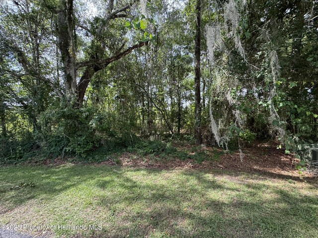 18035 Glen Raven Blvd, Brooksville, FL 34604 - photo 3