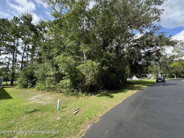 18035 Glen Raven Blvd, Brooksville, FL 34604 - photo 4