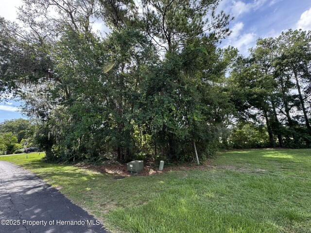 18035 Glen Raven Blvd, Brooksville, FL 34604 - photo 5