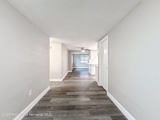 3545 Landale Dr, Holiday, FL 34691 - photo 4