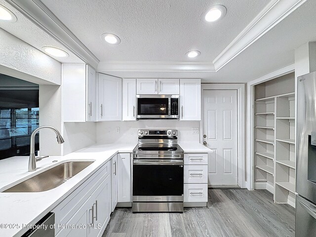 3545 Landale Dr, Holiday, FL 34691 - photo 13