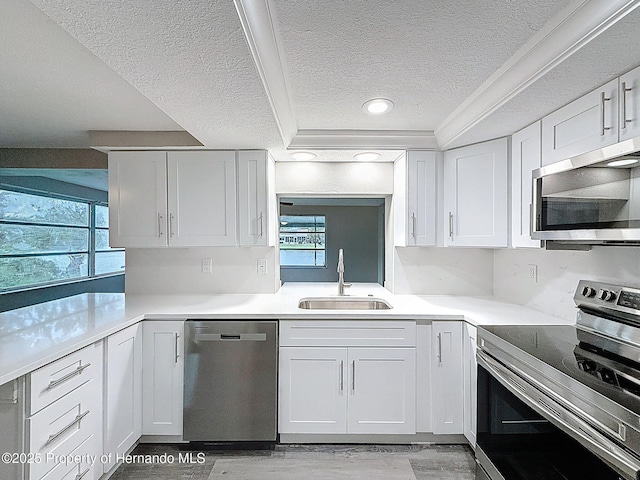 3545 Landale Dr, Holiday, FL 34691 - photo 15