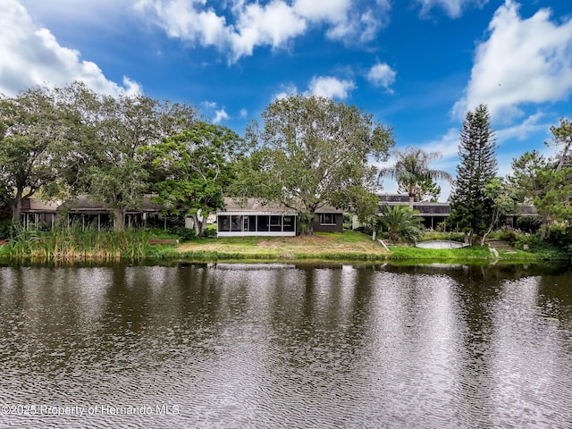 3545 Landale Dr, Holiday, FL 34691 - photo 48