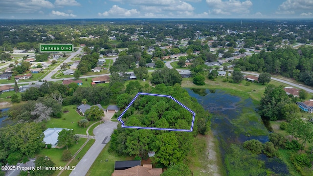 . Lakeview Court, Spring Hill, FL 34608 - photo 2