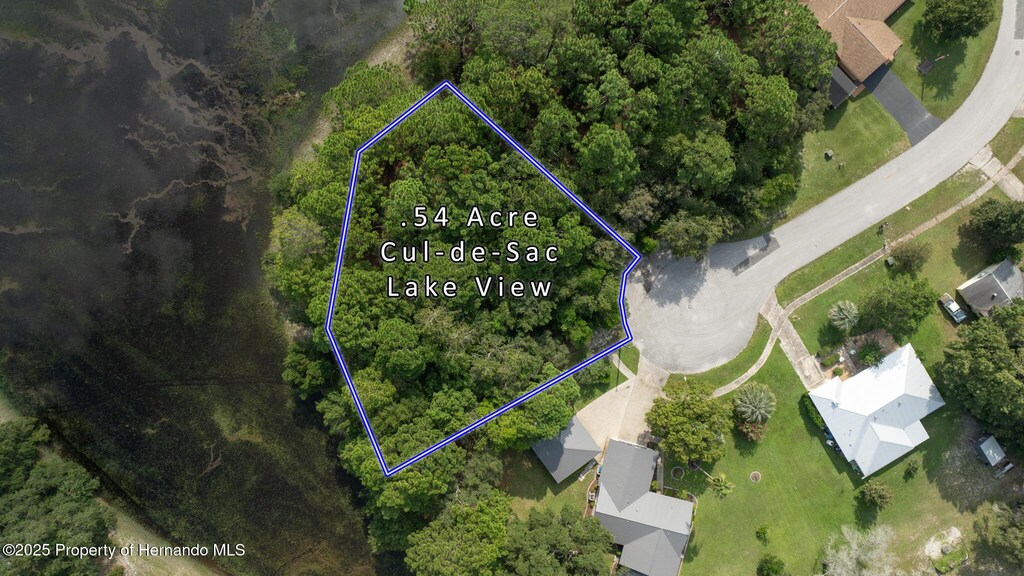 . Lakeview Court, Spring Hill, FL 34608 - photo 1