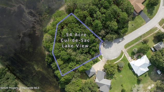 . Lakeview Court, Spring Hill, FL 34608 - photo 1