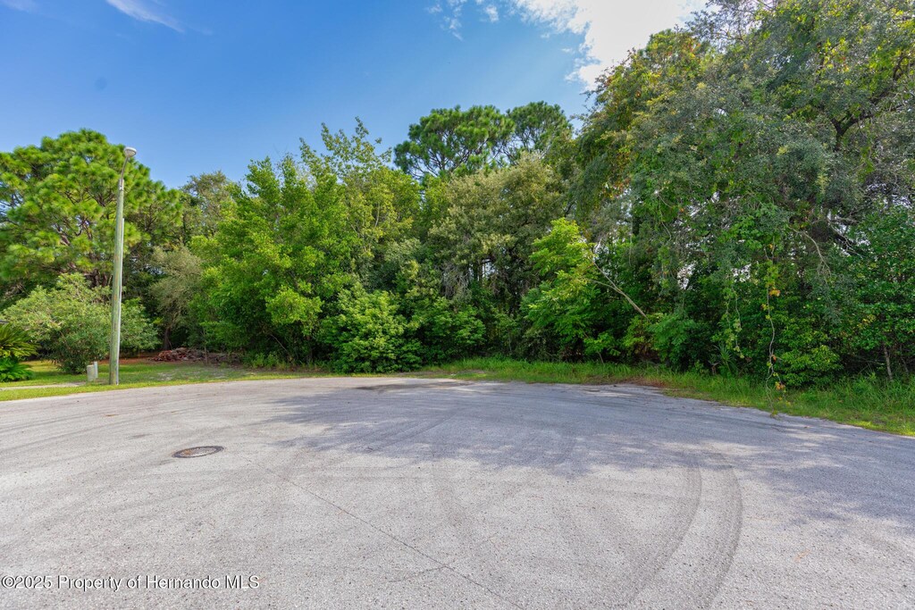 . Lakeview Court, Spring Hill, FL 34608 - photo 4