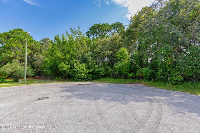. Lakeview Court, Spring Hill, FL 34608 - photo 4