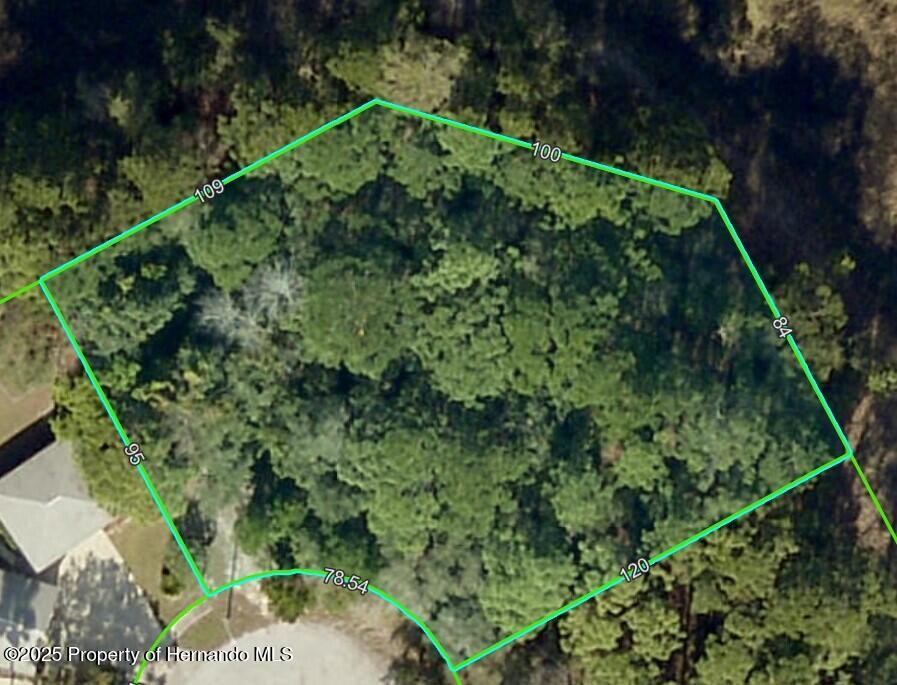 . Lakeview Court, Spring Hill, FL 34608 - photo 3