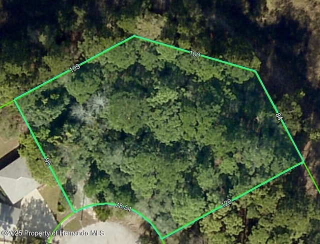 . Lakeview Court, Spring Hill, FL 34608 - photo 3