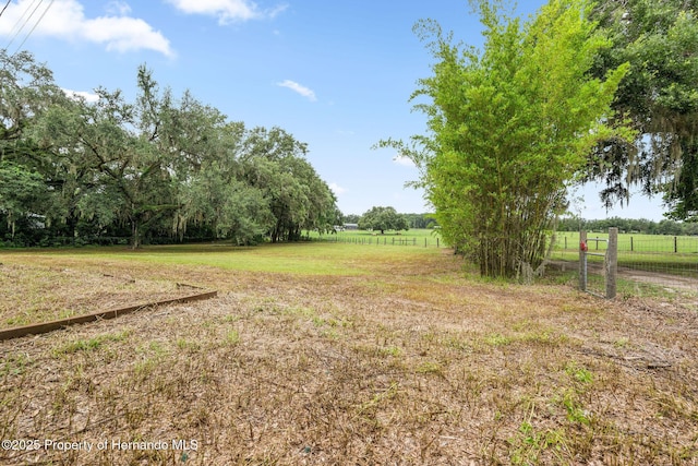 34955 Blanton Rd, Dade City, FL 33523 - photo 22