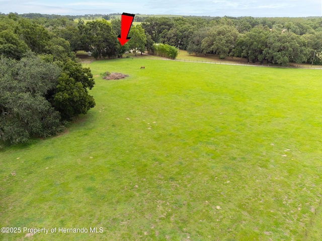 34955 Blanton Rd, Dade City, FL 33523 - photo 26