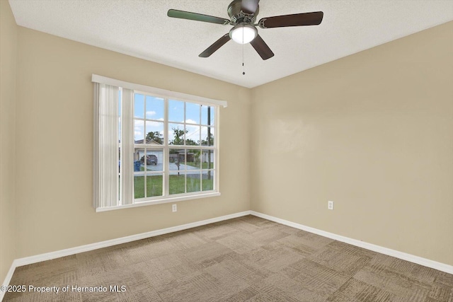 13418 Candia St, Spring Hill, FL 34609 - photo 10