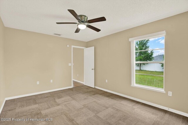 13418 Candia St, Spring Hill, FL 34609 - photo 14