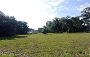 0 Redfish St, Hudson, FL 34667 - photo 3