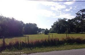 0 Redfish St, Hudson, FL 34667 - photo 4