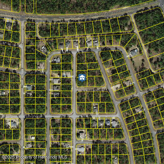 647 W Tulip Ln, Citrus Springs, FL 34434