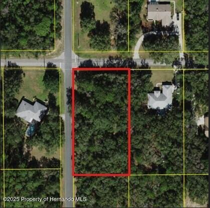 980 W Olympia St, Hernando, FL 33442