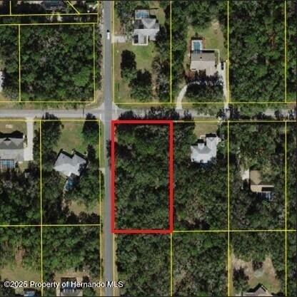 980 W Olympia St, Hernando, FL 33442